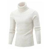 Gerben™ Stylish Men's Roll-Neck Jumper